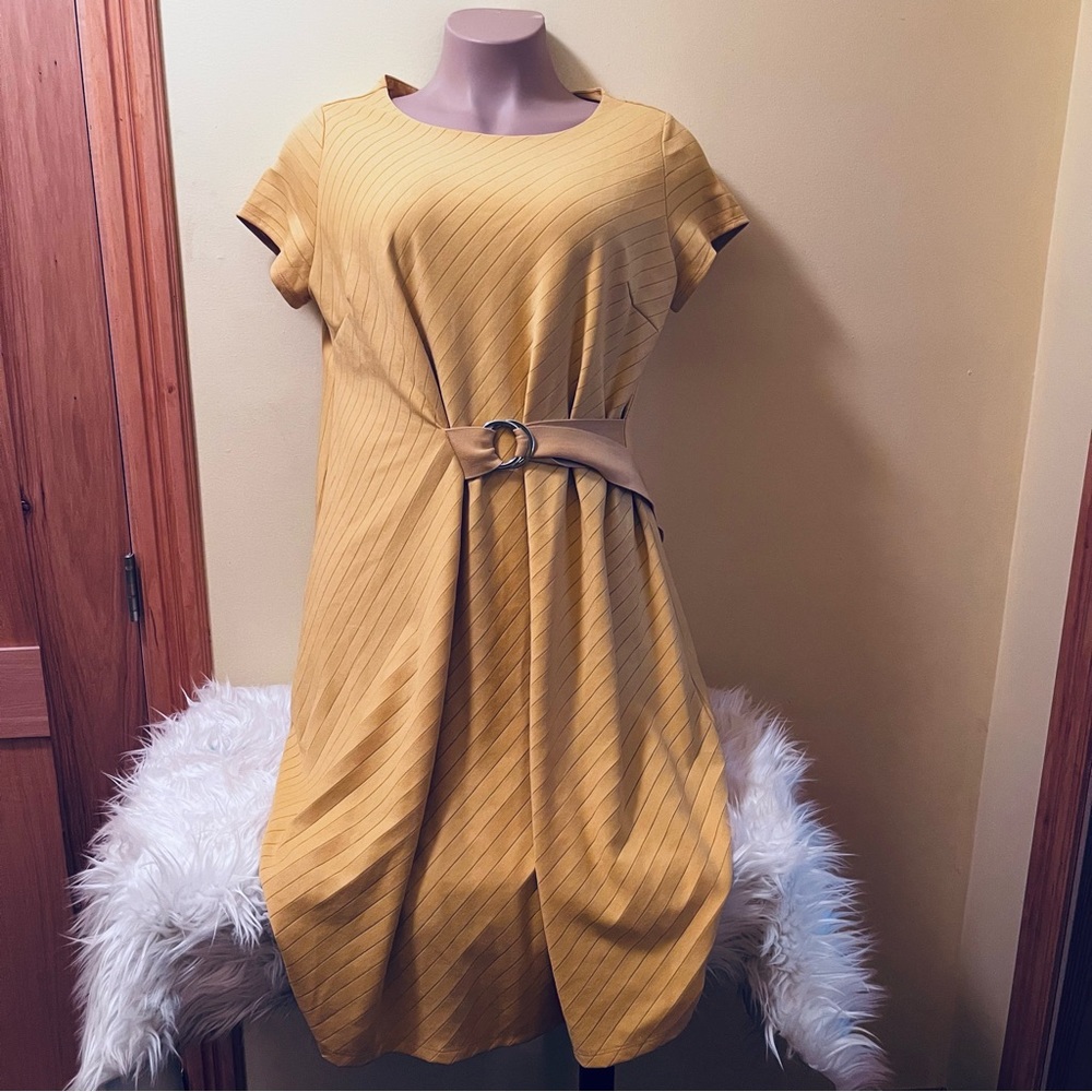 Cato Knit Belted Plus Size Dress